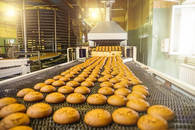 Used Food Processing Machinery