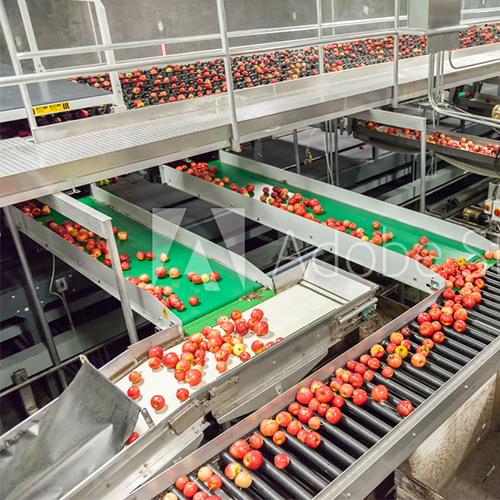 We Buy Any Food Machinery Ltd Food Processing