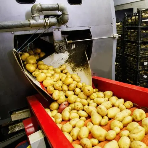 Vegetable Preparation Machinery