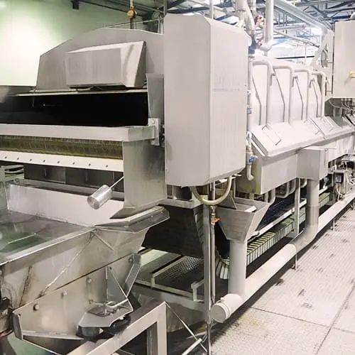 Cookers/Blanching Machines